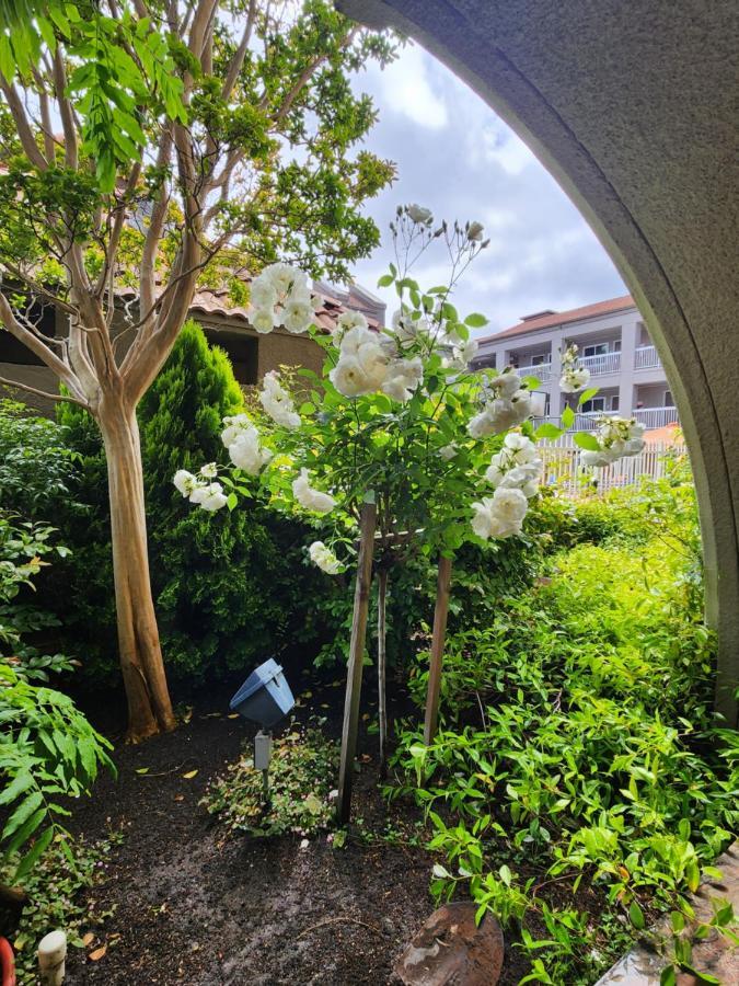 Hotel La Quinta By Wyndham San Francisco Airport West Millbrae